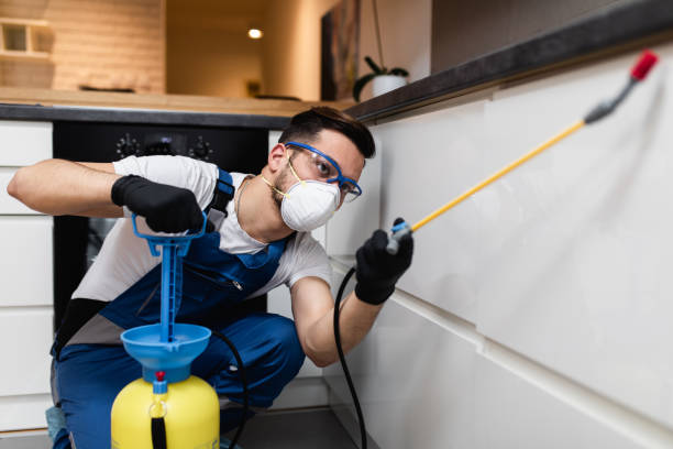 Best Pest Prevention Services  in Purcellville, VA