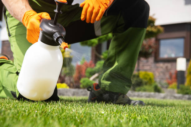 Best Wasp Removal Services  in Purcellville, VA