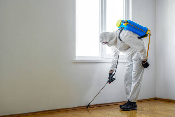Best Pest Control Near Me  in Purcellville, VA