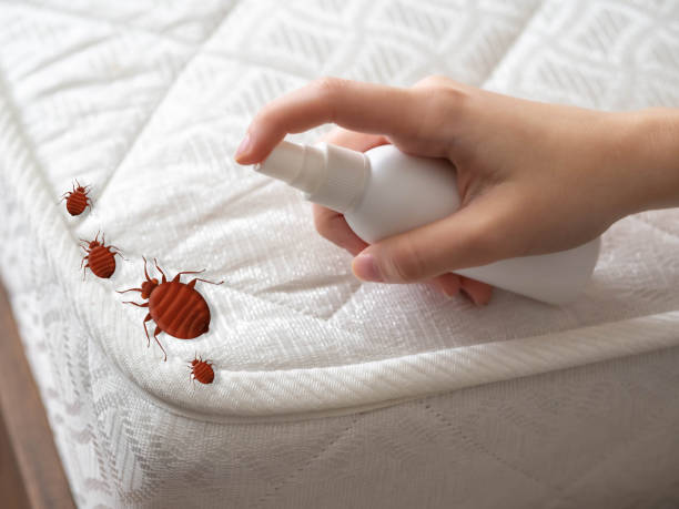 Best Mosquito Control Services  in Purcellville, VA