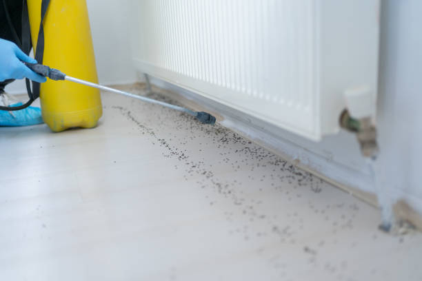 Best Pest Control Near Me in Purcellville, VA