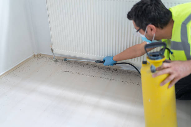 Pest Prevention Services in Purcellville, VA