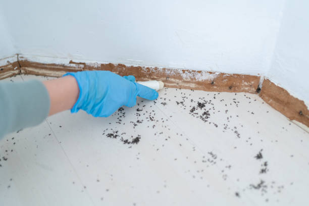 Best Insect Control  in Purcellville, VA
