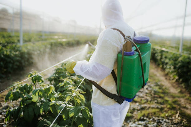 Professional Pest Control in Purcellville, VA